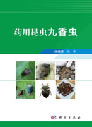 药用昆虫九香虫