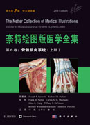 奈特绘图版医学全集——第6卷：骨骼肌肉系统（上肢）（第2版）（中文翻译版）