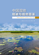 中国湿地植被与植物图鉴