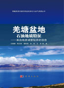 羌塘盆地石油地质特征——来自地质调查钻井的信息