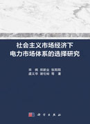 社会主义市场经济下电力市场体系的选择研究