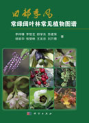 西部季风常绿阔叶林常见植物图谱