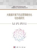 大数据环境下的运营策略优化与协调研究