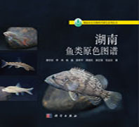 湖南鱼类原色图谱
