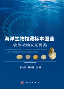 海洋生物馆藏标本图鉴：软体动物双壳贝类