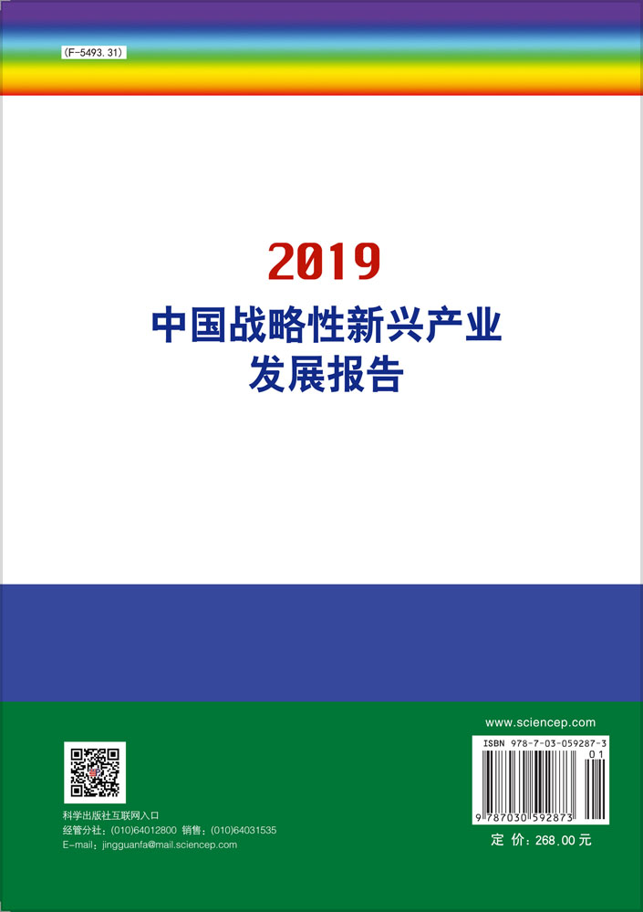 中国战略性新兴产业发展报告2019