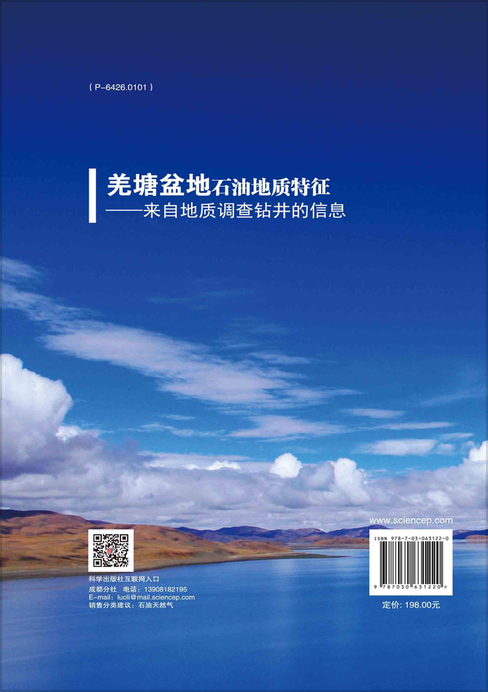 羌塘盆地石油地质特征——来自地质调查钻井的信息