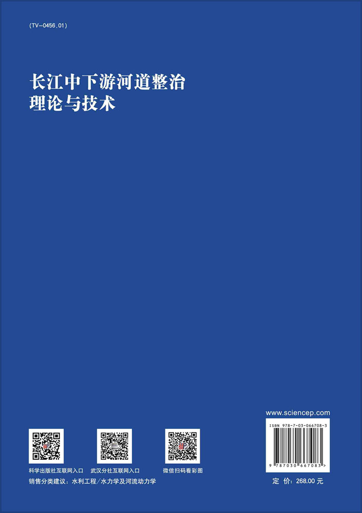 长江中下游河道整治理论与技术