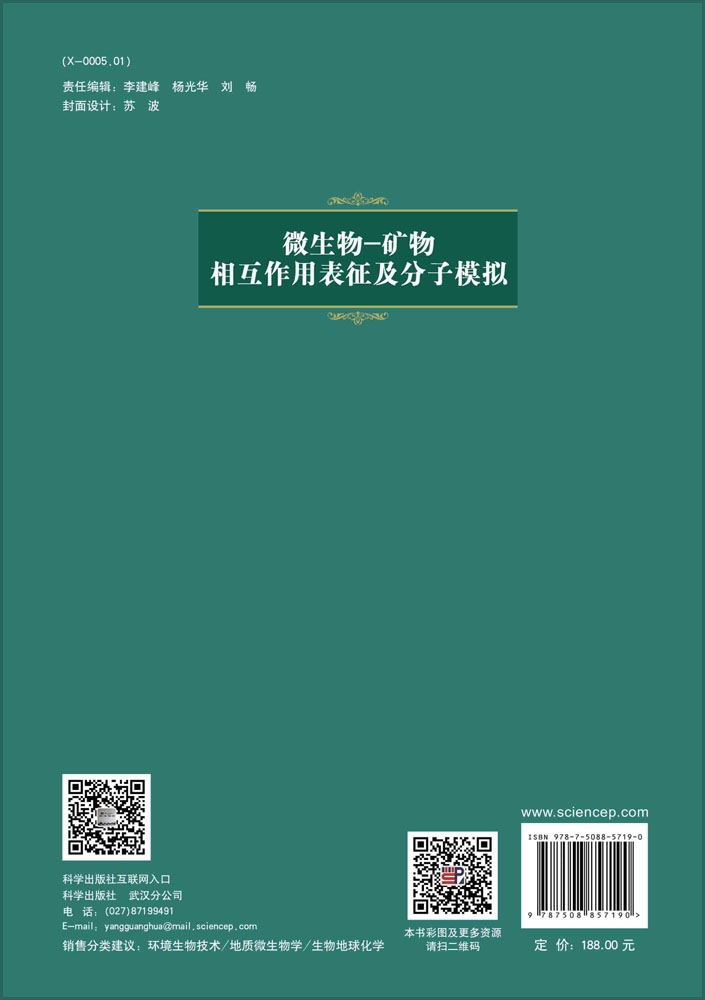 微生物-矿物相互作用表征及分子模拟