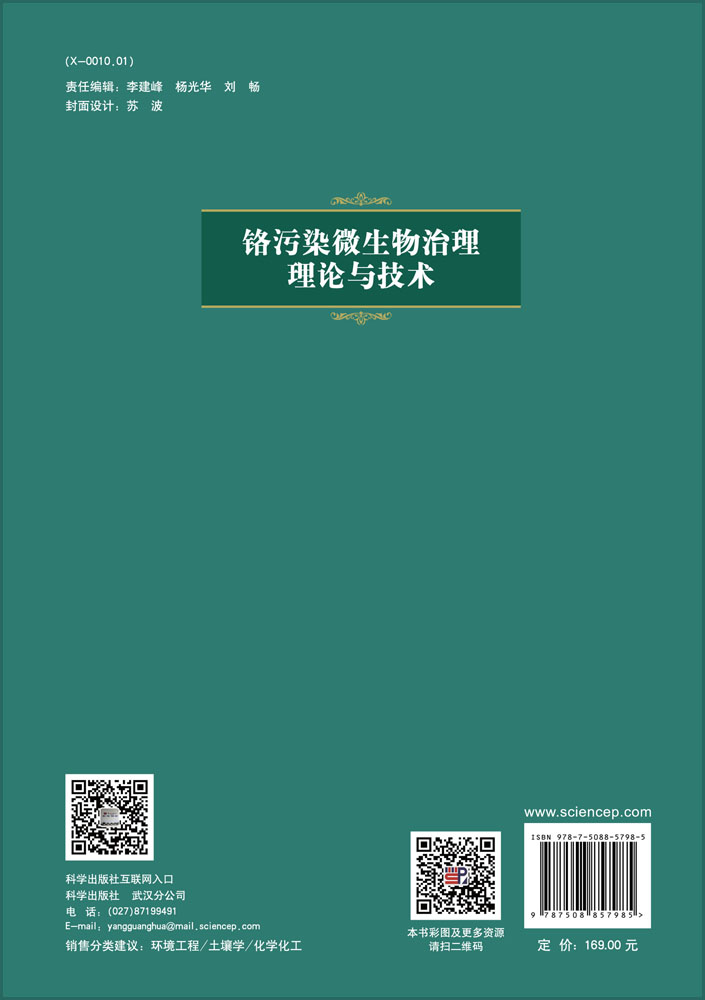 铬污染微生物治理理论与技术