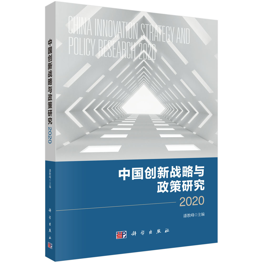 中国创新战略与政策研究2020