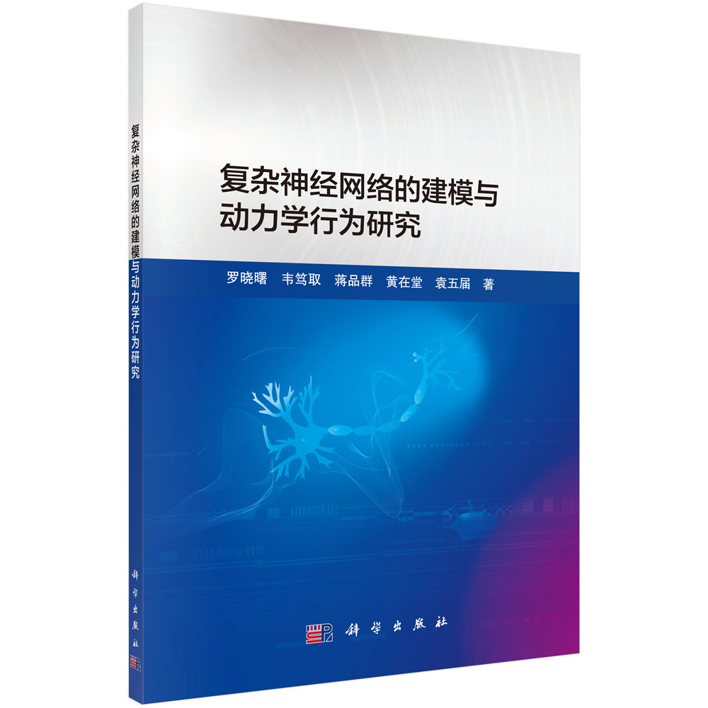 复杂神经网络的建模与动力学行为研究