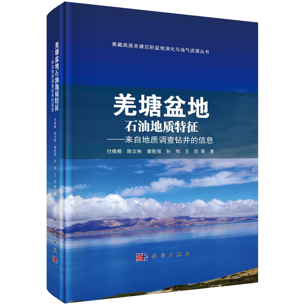 羌塘盆地石油地质特征——来自地质调查钻井的信息