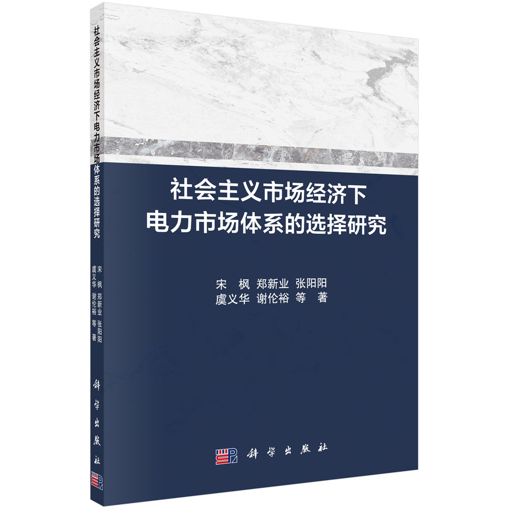 社会主义市场经济下电力市场体系的选择研究