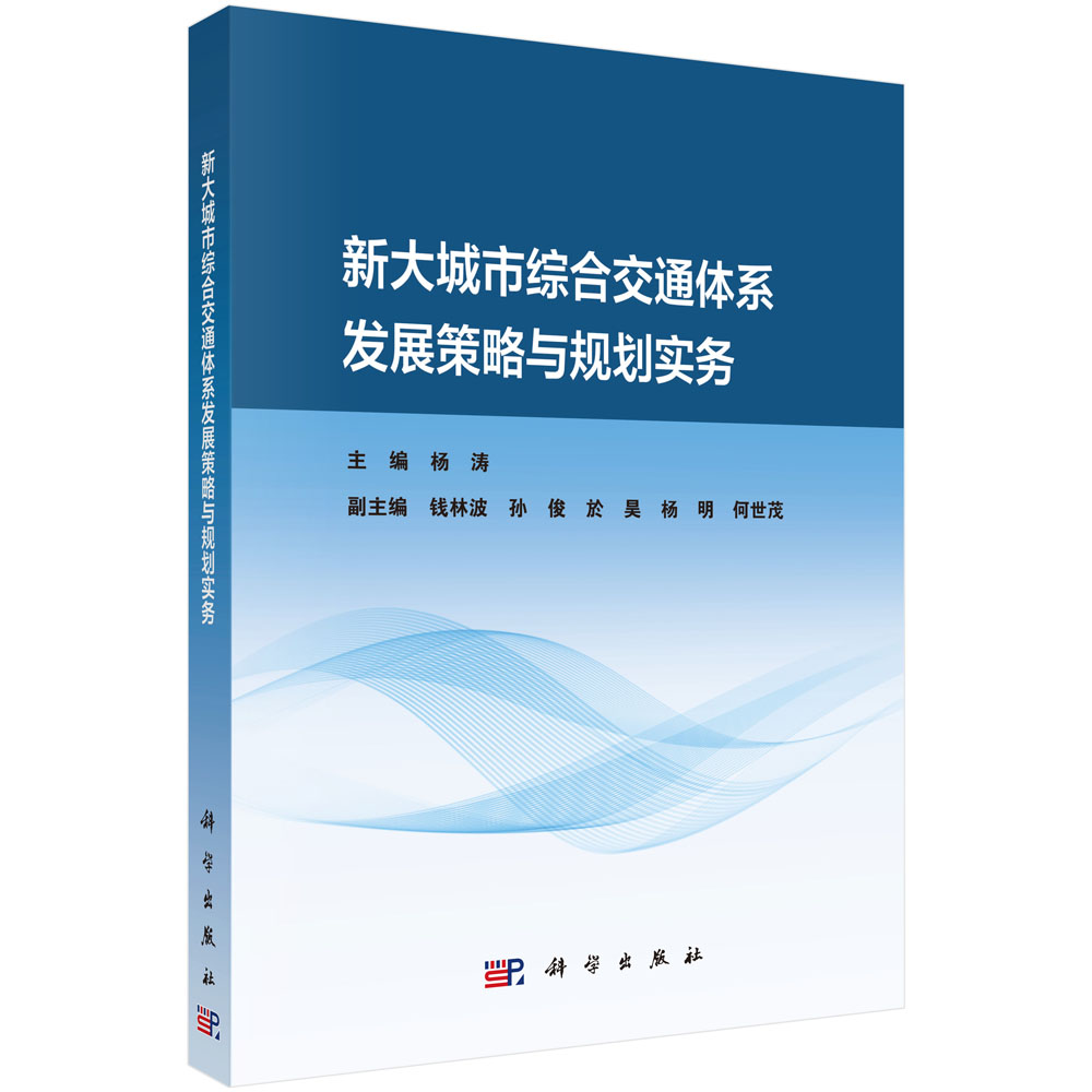 新大城市综合交通体系发展策略与规划实务
