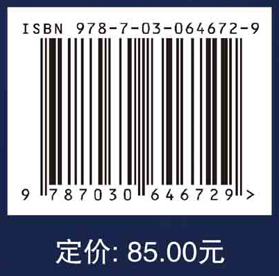 大数据处理技术