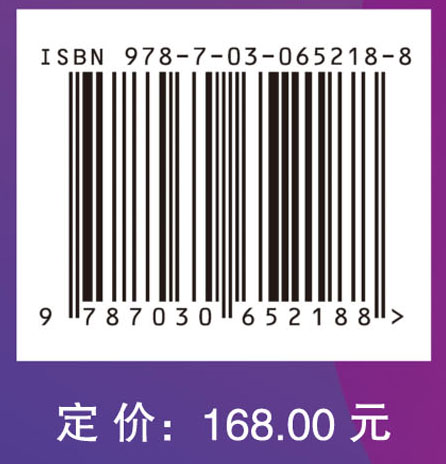网络空间内生安全——拟态防御与广义鲁棒控制（上册）