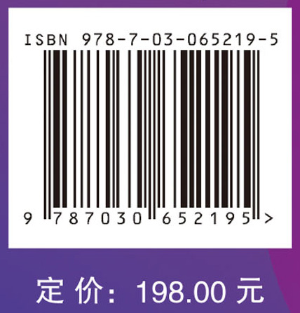 网络空间内生安全——拟态防御与广义鲁棒控制（下册）