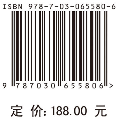 三支决策与大数据分析