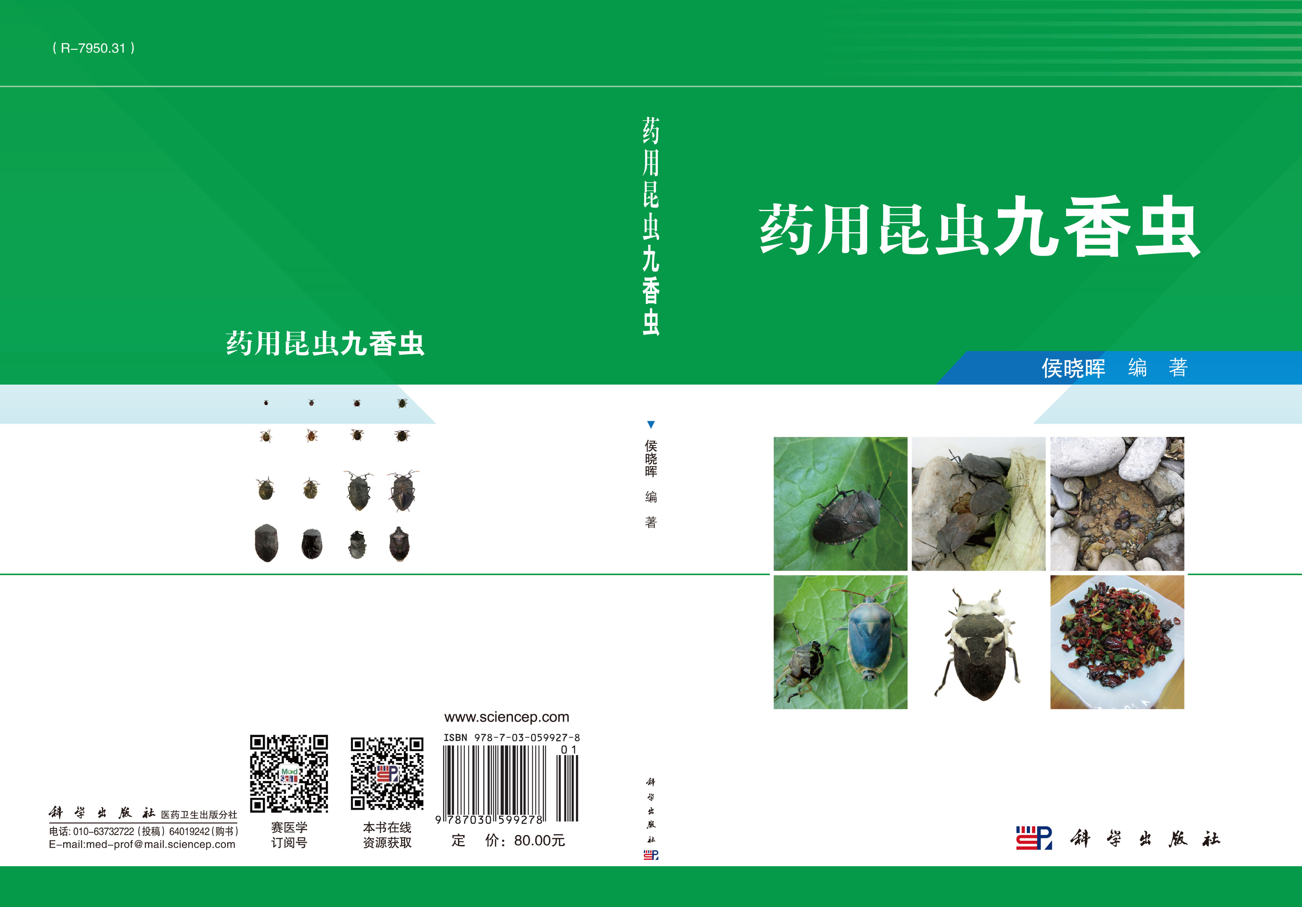 药用昆虫九香虫
