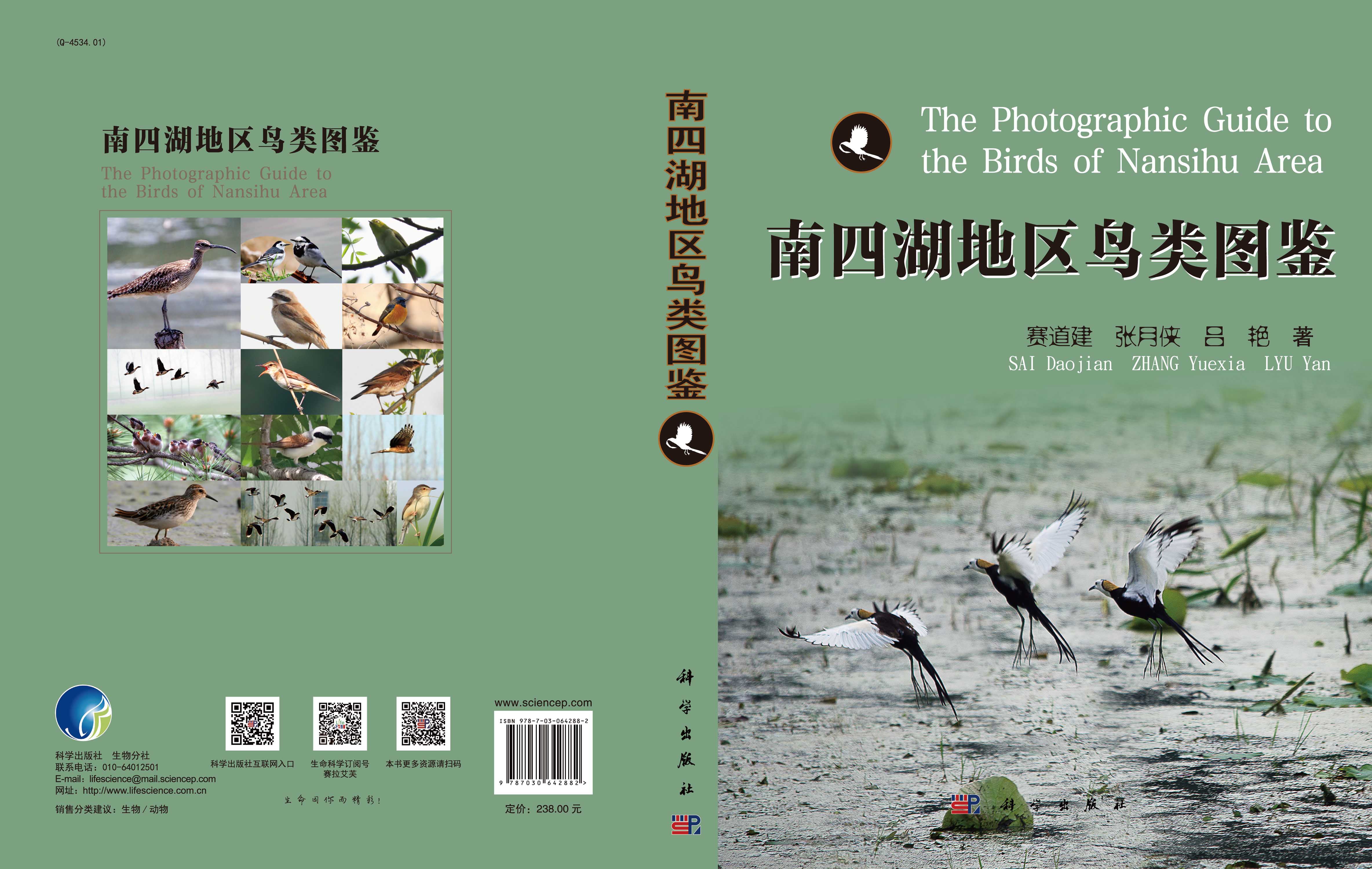 南四湖地区鸟类图鉴