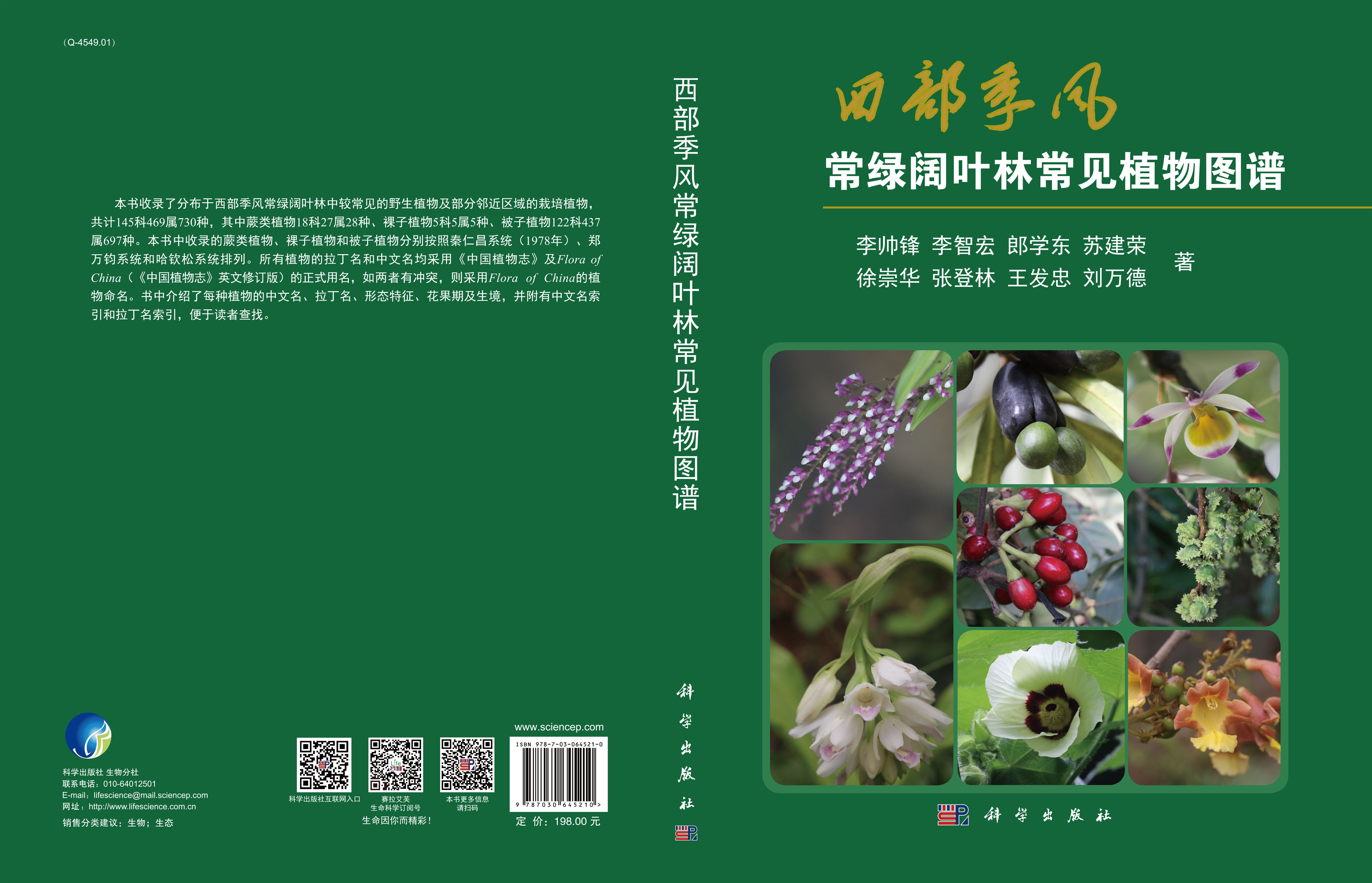 西部季风常绿阔叶林常见植物图谱