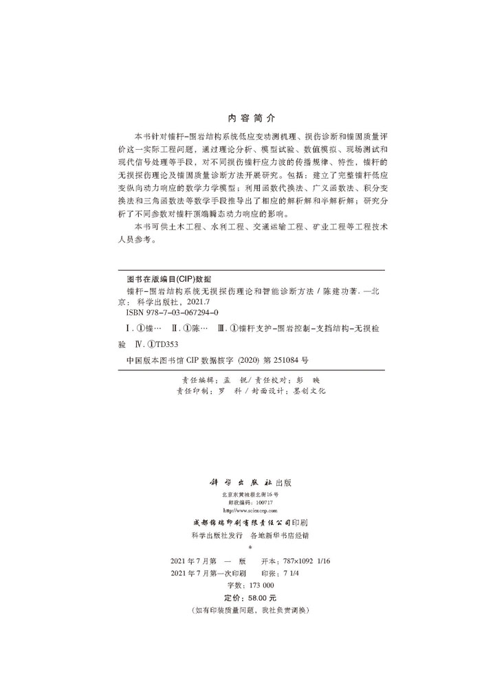 锚杆—围岩结构系统无损探伤理论和智能诊断方法