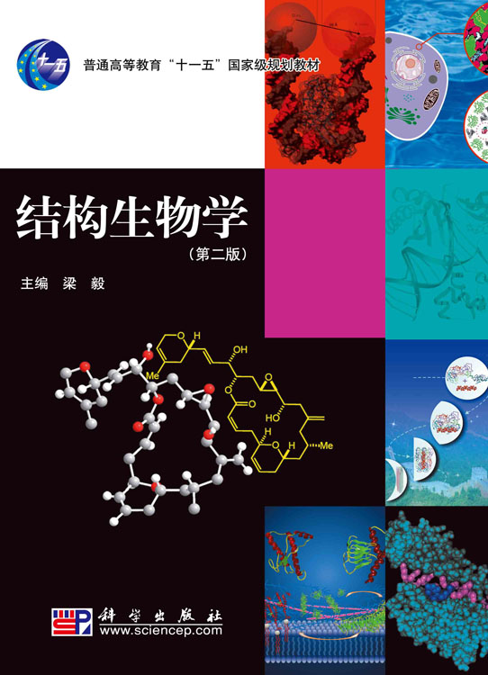 结构生物学（第二版）