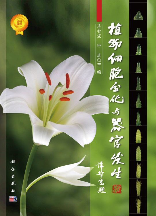 植物细胞分化与器官发生