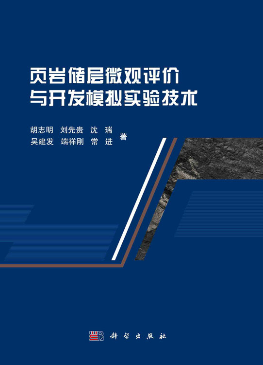 页岩储层微观评价与开发模拟实验技术