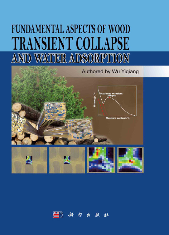 Fundamental Aspects of Wood Transient Collapse and Water Adsorption