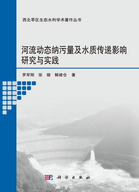 河流动态纳污量及水质传递影响研究与实践