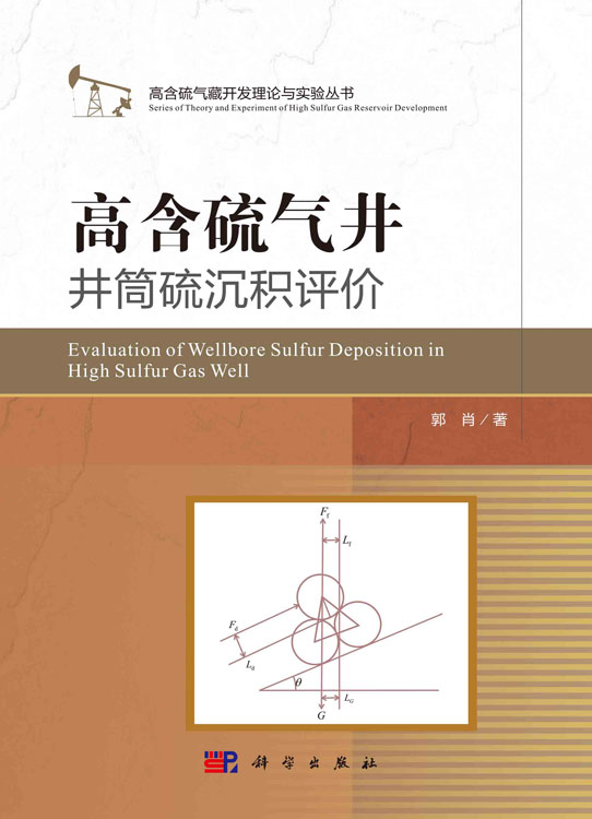 高含硫气井井筒硫沉积评价