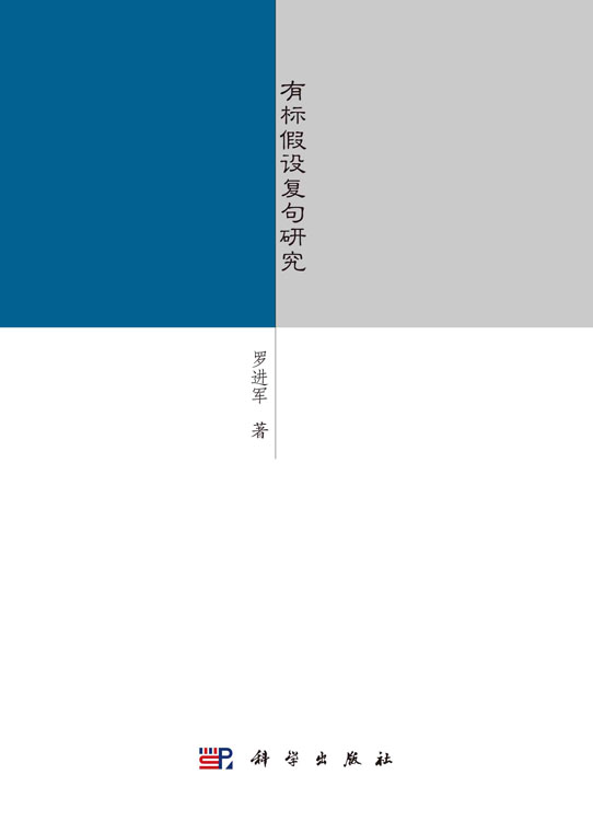 有标假设复句研究