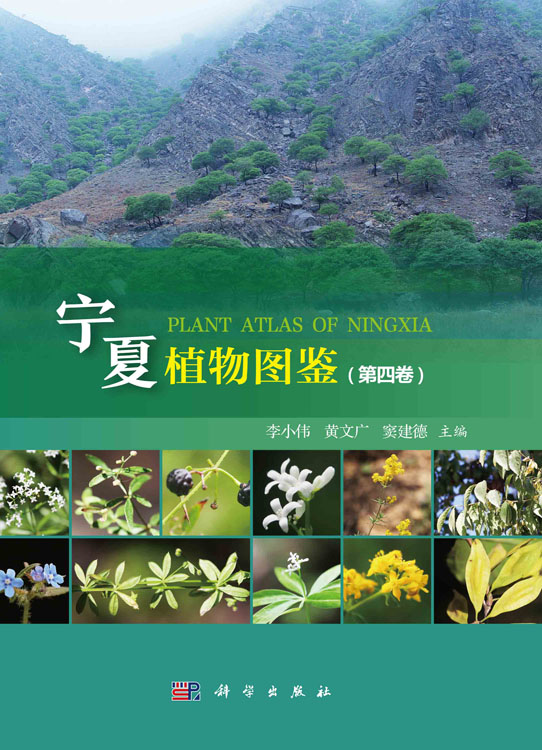宁夏植物图鉴（第四卷）