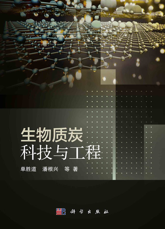 生物质炭科技与工程