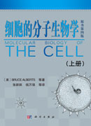 细胞的分子生物学（上下册）