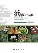 北京常绿阔叶植物