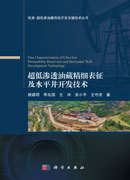 超低渗透油藏精细表征及水平井开发技术
