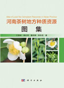 河南茶树地方种质资源图集