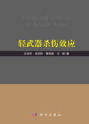 轻武器杀伤效应