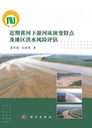 近期黄河下游河床演变特点及滩区洪水风险评估