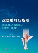 远端蒂腓肠皮瓣
