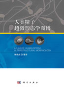 人类精子超微形态学图谱