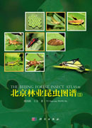 北京林业昆虫图谱（II）