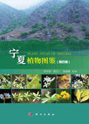 宁夏植物图鉴（第四卷）