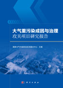 大气重污染成因与治理攻关项目研究报告