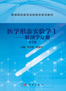 医学形态实验学.Ⅰ，解剖学分册