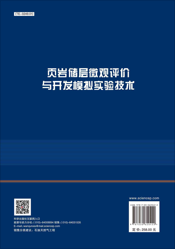 页岩储层微观评价与开发模拟实验技术