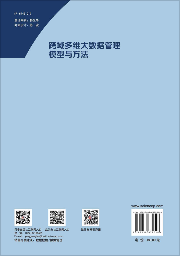 跨域多维大数据管理模型与方法